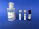 ssDNA Assay Kit